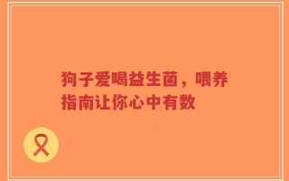 狗子爱喝益生菌，喂养指南让你心中有数