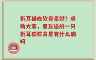 折耳猫吃软骨素好？求助大家，朋友送的一只折耳猫驼背是有什么病吗