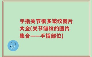 手指关节很多皱纹图片大全(关节皱纹的图片集合——手指部位)