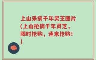 上山采摘千年灵芝图片(上山抢摘千年灵芝，限时抢购，速来抢购！)