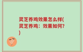 灵芝养鸡效果怎么样(灵芝养鸡：效果如何？)