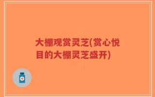 大棚观赏灵芝(赏心悦目的大棚灵芝盛开)