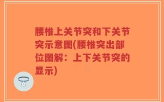 腰椎上关节突和下关节突示意图(腰椎突出部位图解：上下关节突的显示)