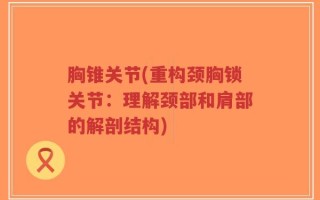 胸锥关节(重构颈胸锁关节：理解颈部和肩部的解剖结构)