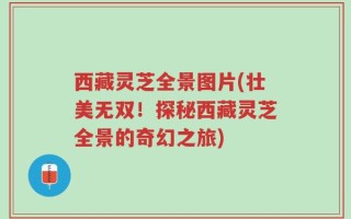 西藏灵芝全景图片(壮美无双！探秘西藏灵芝全景的奇幻之旅)