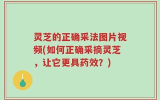 灵芝的正确采法图片视频(如何正确采摘灵芝，让它更具药效？)