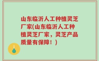 山东临沂人工种植灵芝厂家(山东临沂人工种植灵芝厂家，灵芝产品质量有保障！)