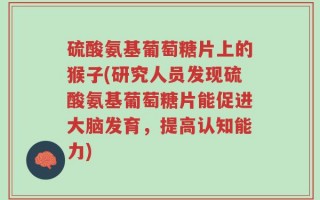 硫酸氨基葡萄糖片上的猴子(研究人员发现硫酸氨基葡萄糖片能促进大脑发育，提高认知能力)