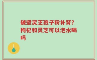 破壁灵芝孢子粉补肾？枸杞和灵芝可以泡水喝吗