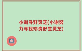 小谢寻野灵芝(小谢努力寻找珍贵野生灵芝)