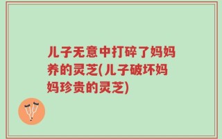 儿子无意中打碎了妈妈养的灵芝(儿子破坏妈妈珍贵的灵芝)