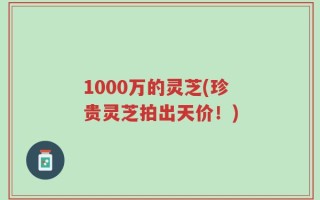 1000万的灵芝(珍贵灵芝拍出天价！)