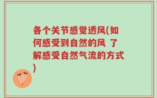 各个关节感觉透风(如何感受到自然的风 了解感受自然气流的方式)