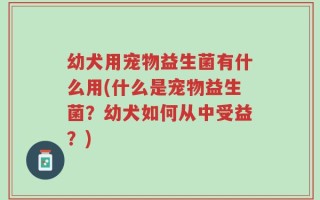 幼犬用宠物益生菌有什么用(什么是宠物益生菌？幼犬如何从中受益？)