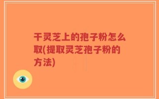 干灵芝上的孢子粉怎么取(提取灵芝孢子粉的方法)