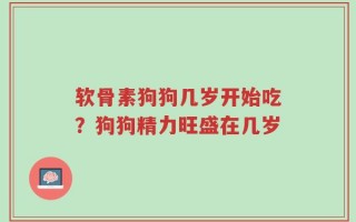 软骨素狗狗几岁开始吃？狗狗精力旺盛在几岁