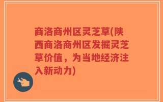 商洛商州区灵芝草(陕西商洛商州区发掘灵芝草价值，为当地经济注入新动力)