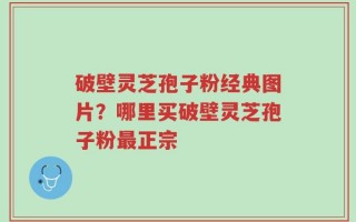 破壁灵芝孢子粉经典图片？哪里买破壁灵芝孢子粉最正宗