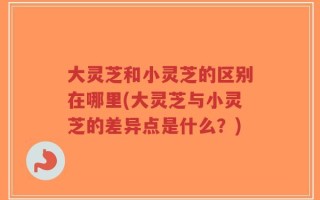 大灵芝和小灵芝的区别在哪里(大灵芝与小灵芝的差异点是什么？)