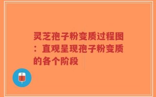 灵芝孢子粉变质过程图：直观呈现孢子粉变质的各个阶段