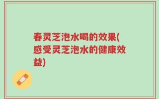 春灵芝泡水喝的效果(感受灵芝泡水的健康效益)