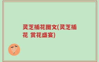 灵芝插花图文(灵芝插花 赏花盛宴)