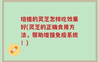 培植的灵芝怎样吃效果好(灵芝的正确食用方法，帮助增强免疫系统！)