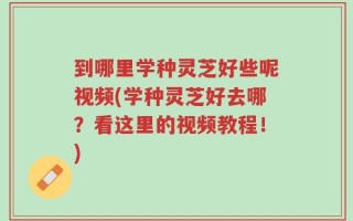 到哪里学种灵芝好些呢视频(学种灵芝好去哪？看这里的视频教程！)
