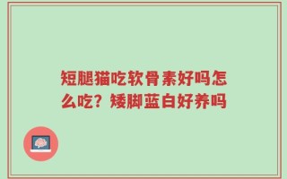 短腿猫吃软骨素好吗怎么吃？矮脚蓝白好养吗