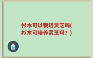 杉木可以栽培灵芝吗(杉木可培养灵芝吗？)