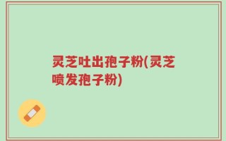 灵芝吐出孢子粉(灵芝喷发孢子粉)