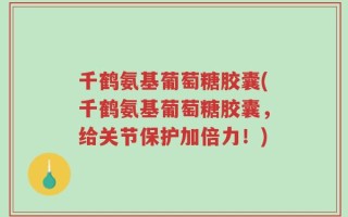 千鹤氨基葡萄糖胶囊(千鹤氨基葡萄糖胶囊，给关节保护加倍力！)
