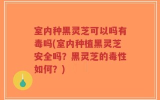 室内种黑灵芝可以吗有毒吗(室内种植黑灵芝安全吗？黑灵芝的毒性如何？)