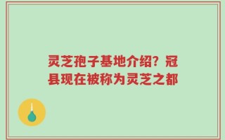 灵芝孢子基地介绍？冠县现在被称为灵芝之都