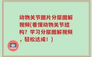 动物关节图片分层图解视频(看懂动物关节结构？学习分层图解视频，轻松达成！)
