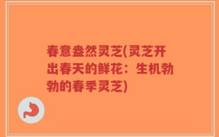 春意盎然灵芝(灵芝开出春天的鲜花：生机勃勃的春季灵芝)