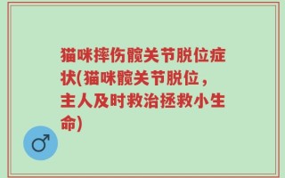 猫咪摔伤髋关节脱位症状(猫咪髋关节脱位，主人及时救治拯救小生命)