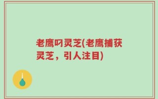 老鹰叼灵芝(老鹰捕获灵芝，引人注目)