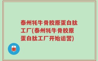 泰州牦牛骨胶原蛋白肽工厂(泰州牦牛骨胶原蛋白肽工厂开始运营)