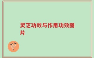 灵芝功效与作用功效图片