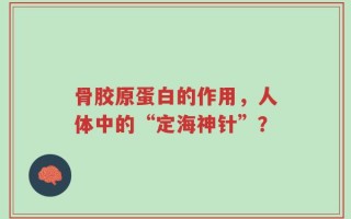 骨胶原蛋白的作用，人体中的“定海神针”？