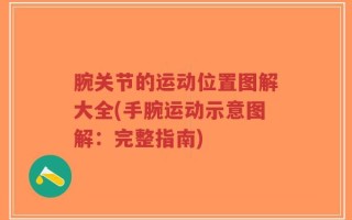 腕关节的运动位置图解大全(手腕运动示意图解：完整指南)