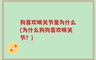 狗喜欢啃关节是为什么(为什么狗狗喜欢啃关节？)