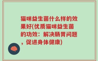 猫咪益生菌什么样的效果好(优质猫咪益生菌的功效：解决肠胃问题，促进身体健康)
