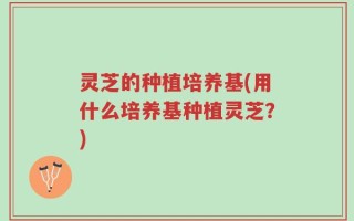 灵芝的种植培养基(用什么培养基种植灵芝？)