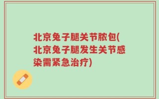 北京兔子腿关节脓包(北京兔子腿发生关节感染需紧急治疗)