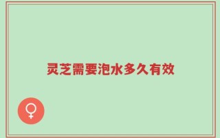 灵芝需要泡水多久有效