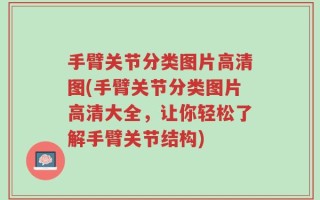 手臂关节分类图片高清图(手臂关节分类图片高清大全，让你轻松了解手臂关节结构)