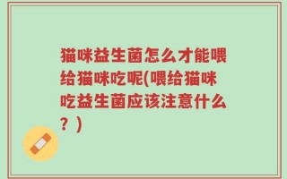 猫咪益生菌怎么才能喂给猫咪吃呢(喂给猫咪吃益生菌应该注意什么？)