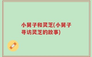 小舅子和灵芝(小舅子寻访灵芝的故事)